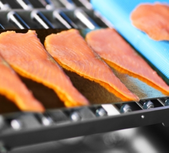 Salmon ready to be processed at a machine testing at Norbech.